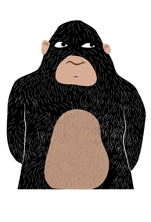 gorilla